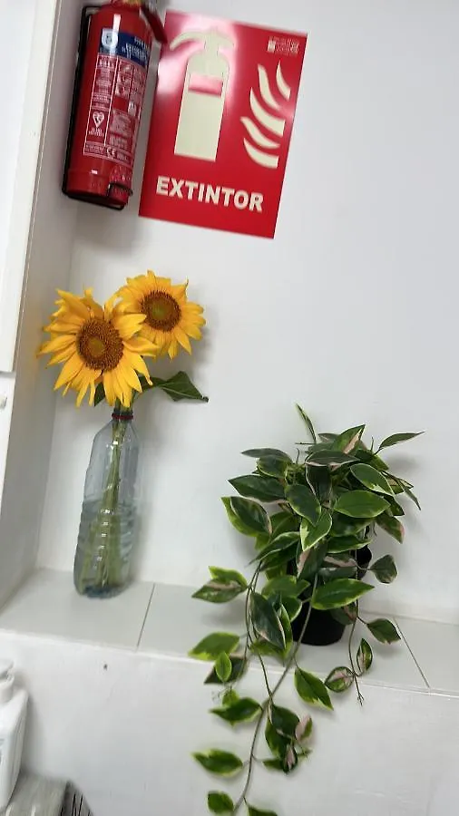 Accommodatie bij particulieren El Buho De Cordoba Appartement